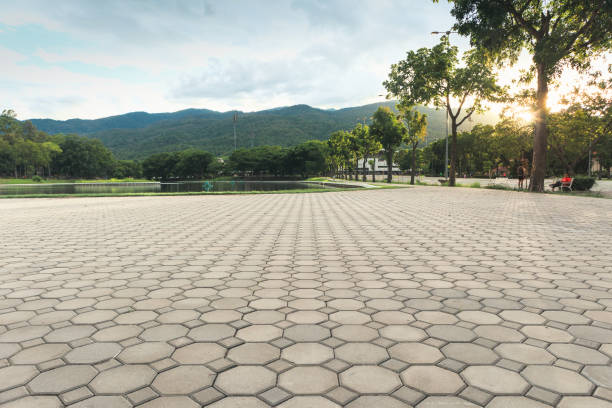 Best Concrete Paver Driveway  in Burlington, NC